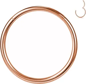 1pcs Women Men Titanium Hinged Nose Rings Hoop 20G 18G 16G Clicker Hoop for Nostril Septum Cartilage Helix Daith Tragus Rook Conch Lip Ear Lobe Piercings 6mm/7mm/8mm/9mm/10mm/12mm Silver-Gold-Rose Gold-Black