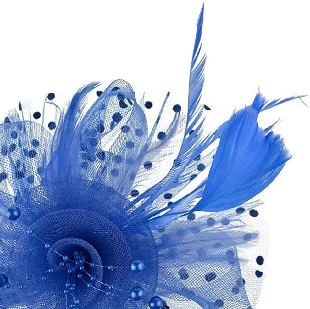 Fascinators Hats for Women Tea Part Hat Derb Hat Wedding Headpiece Feather Mesh Hair Clip Derb (Blue, One Size)